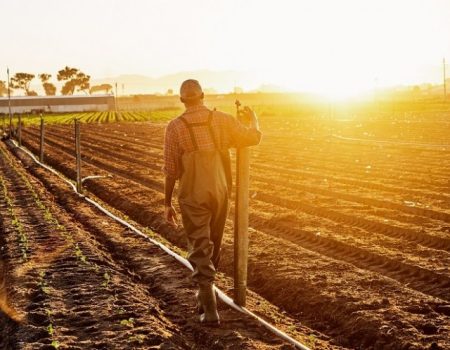 How-to-measure-regenerative-agriculture How-to-measure-regenerative-agriculture
